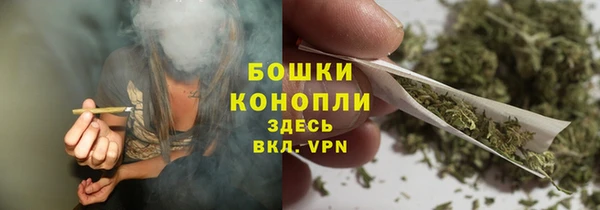 трава Арсеньев