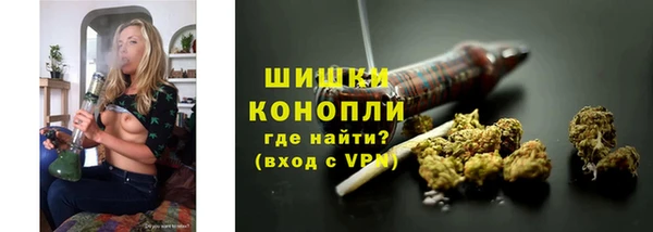 трава Арсеньев