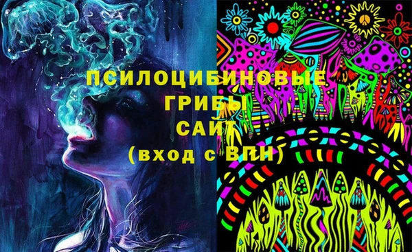 дживик Саяногорск