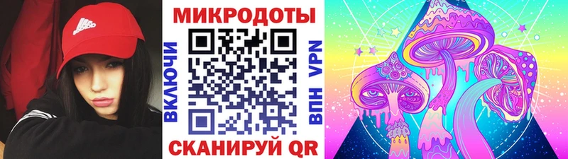 mega ССЫЛКА  Таруса  Псилоцибиновые грибы Psilocybe  купить наркотик 