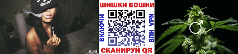 Конопля сатива  Таруса 